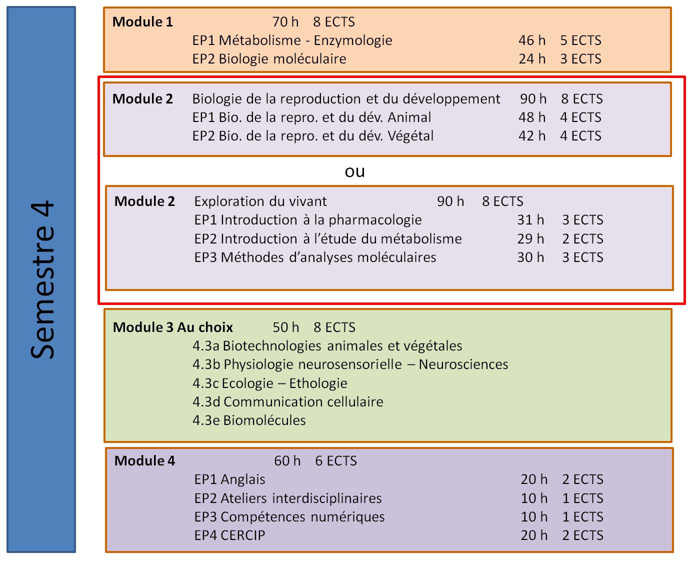 organisation semestre 4