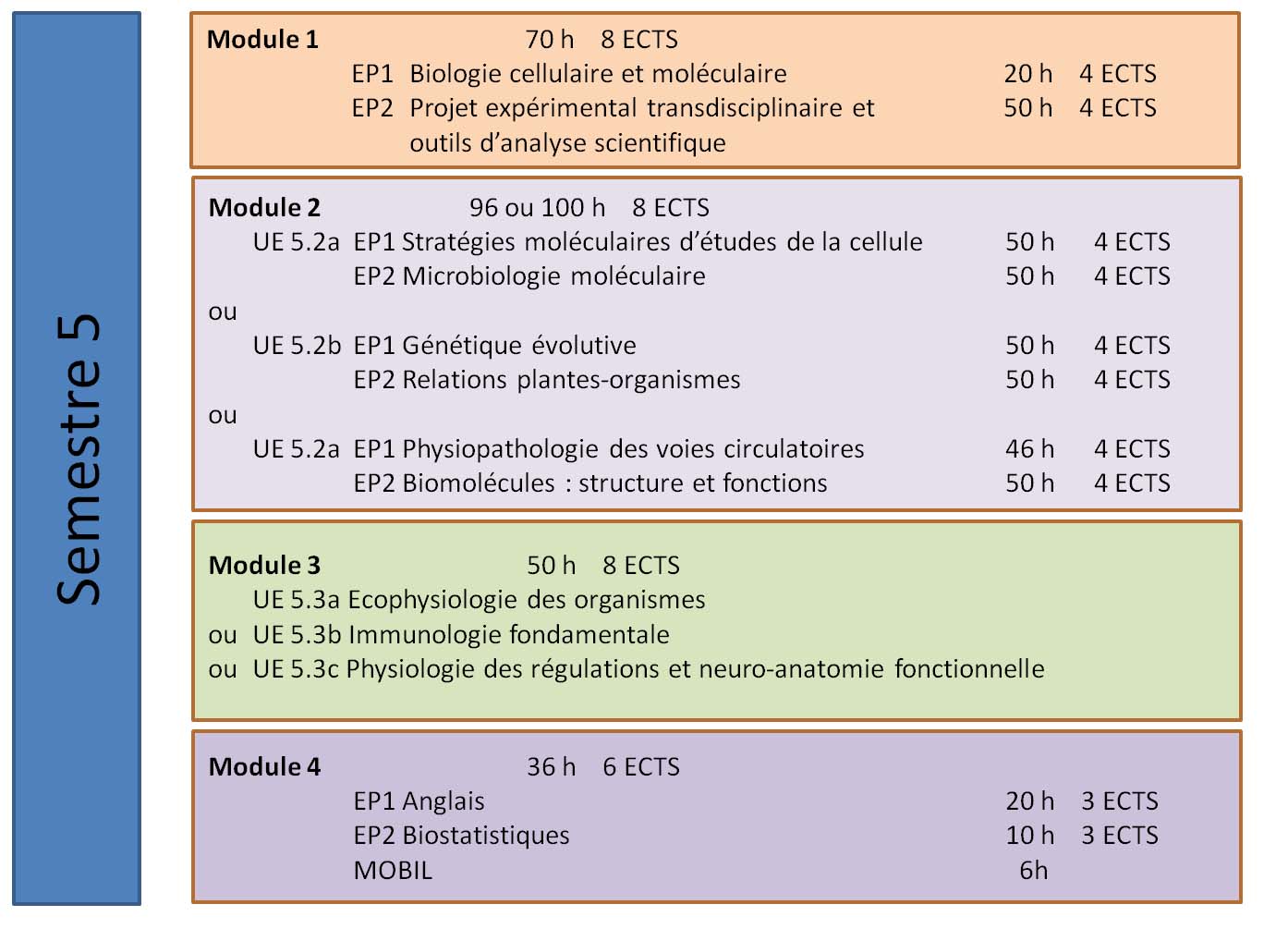 organisation semestre 5