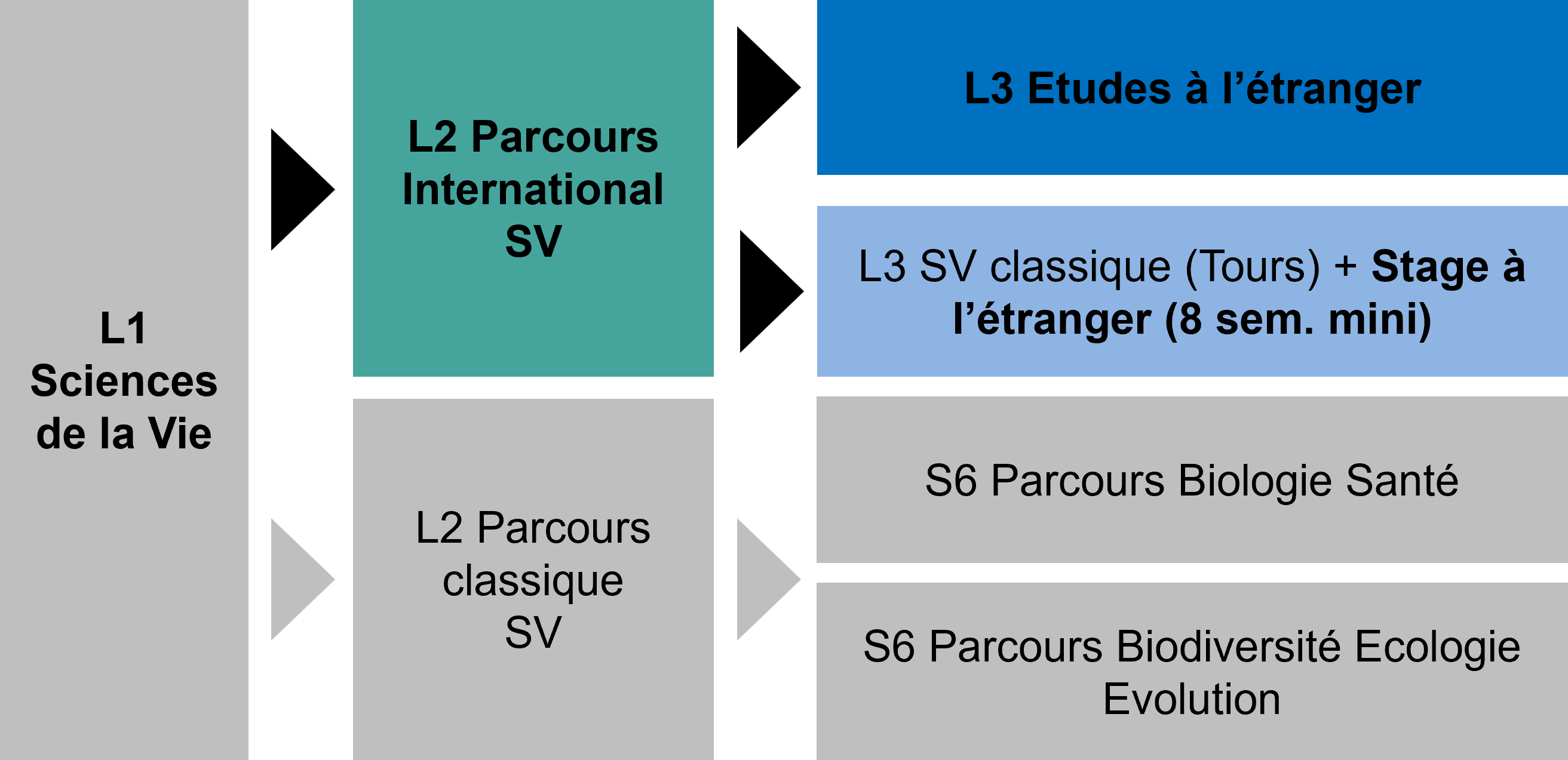 structure maquette